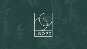 loopz-hero